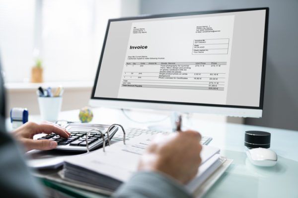 Professional Chartered Accountant Using Electronic Invoice Bill Software