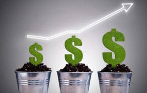 manage business growth
